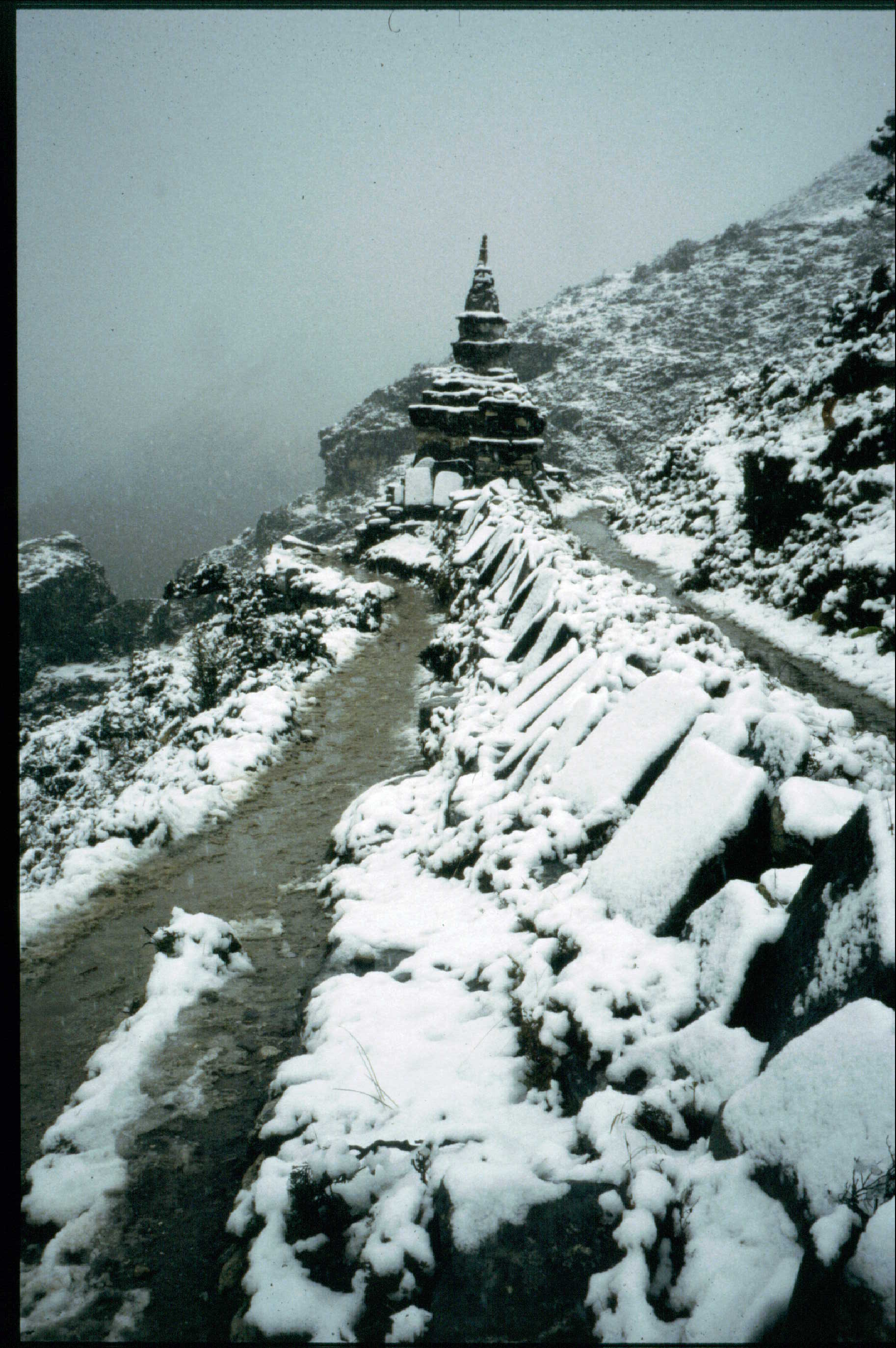 Bin03S07 - Supta & Slates under Snow.jpg